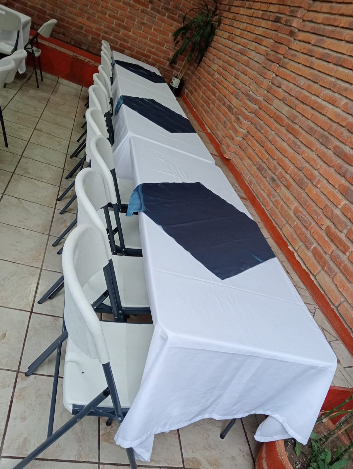 Foto de Terraza Lupita